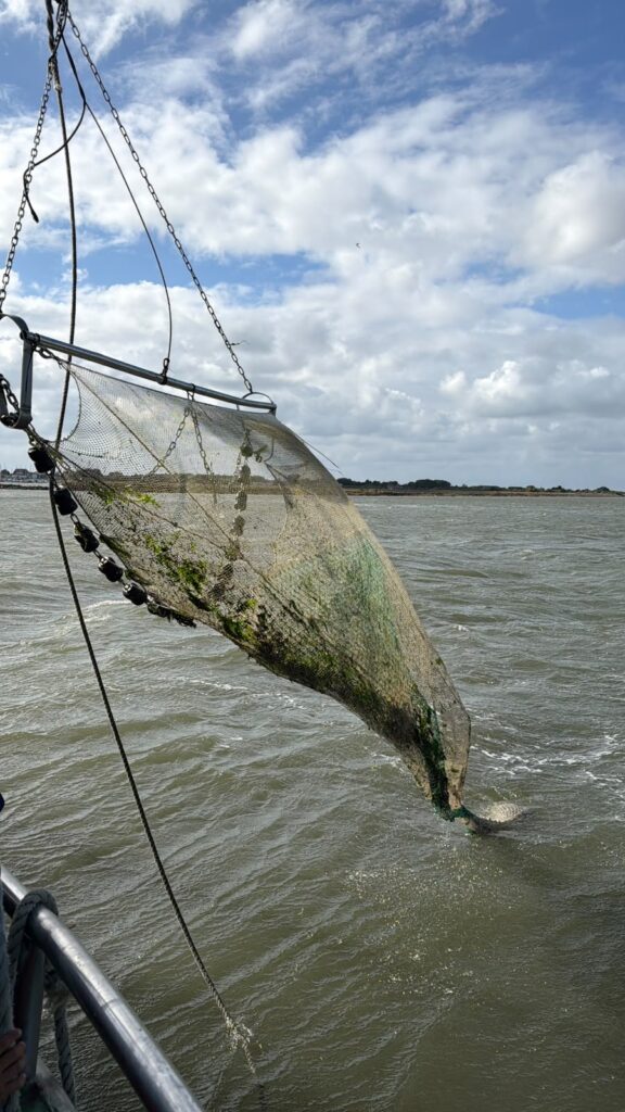 Langeoog 2026 - Bild 36